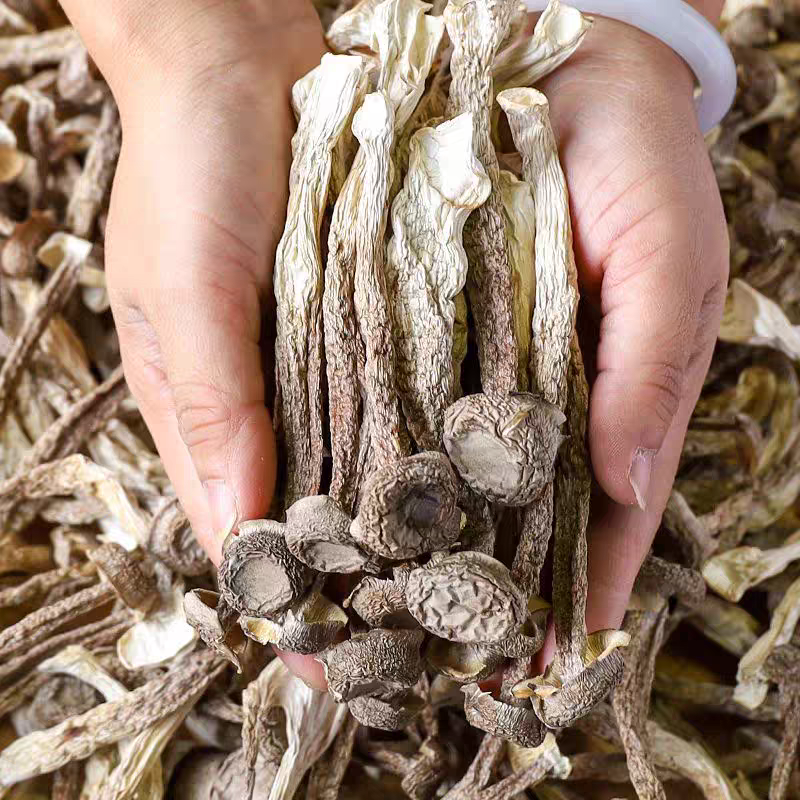 云南边境山货～鹿绒菇～大炎甄选