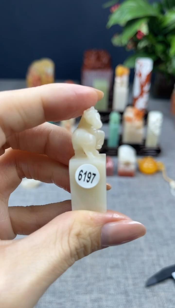 【闪购商品】寿山石印石6197      