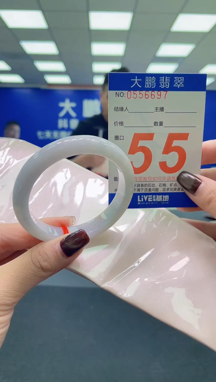 未镶嵌手镯翡翠AAAAAAAAAA