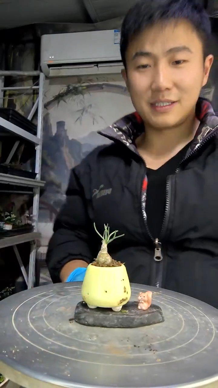 鱼*语中青园艺一物一拍花409