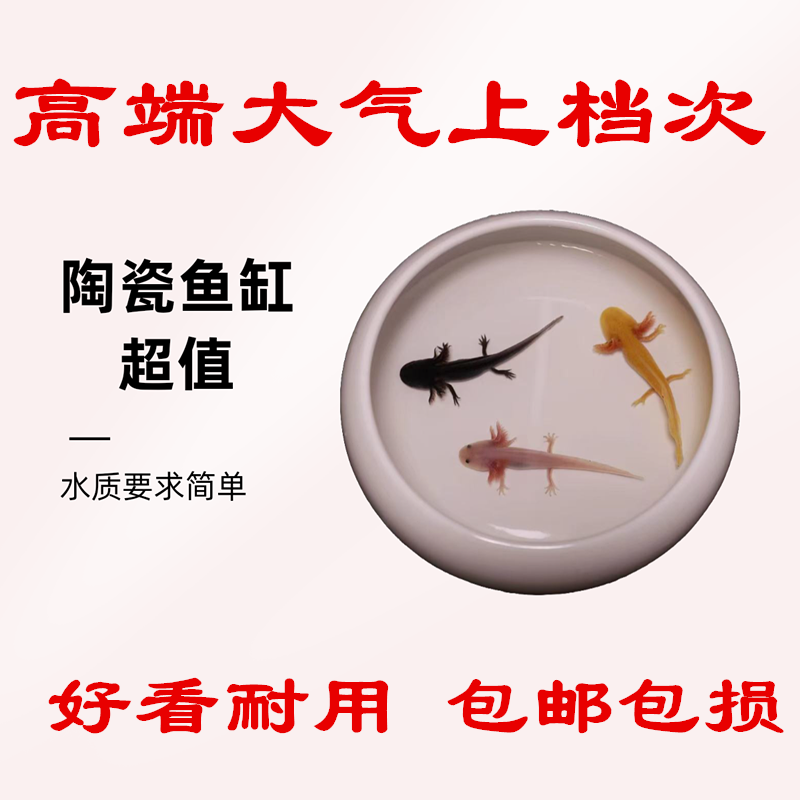 六角恐龙鱼专业陶瓷鱼缸金鱼锦鲤小鱼缸桌面鱼缸包邮