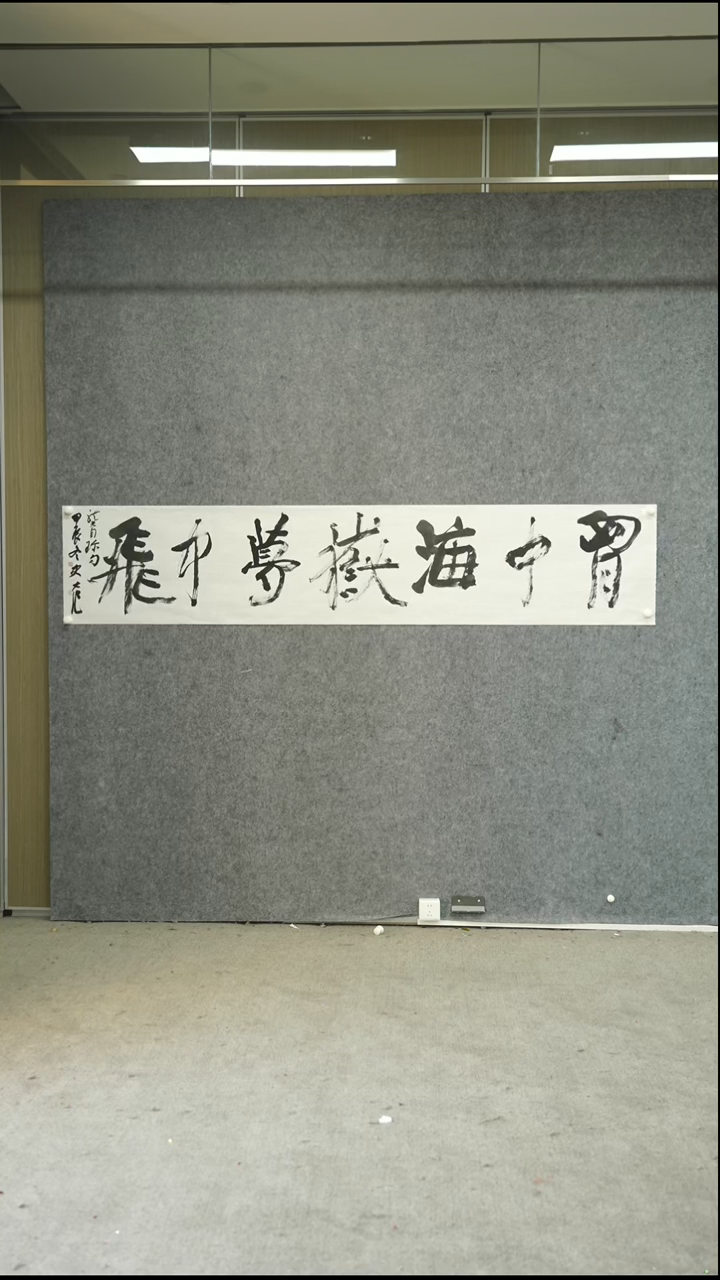 书法书法SDZ老师作品