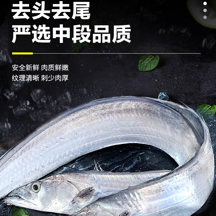 小船货小眼带鱼段400g/包*6包 速冻肉质鲜嫩连云港顺丰冷链发货