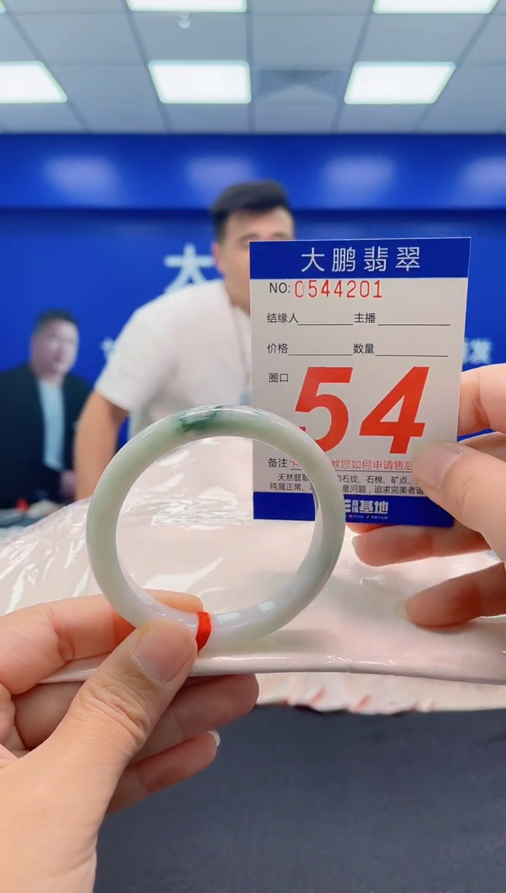 未镶嵌手镯翡翠AAAAAAAAA