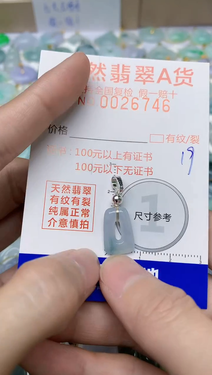 【闪购商品】翡翠颈饰合金19天然翡翠A货  