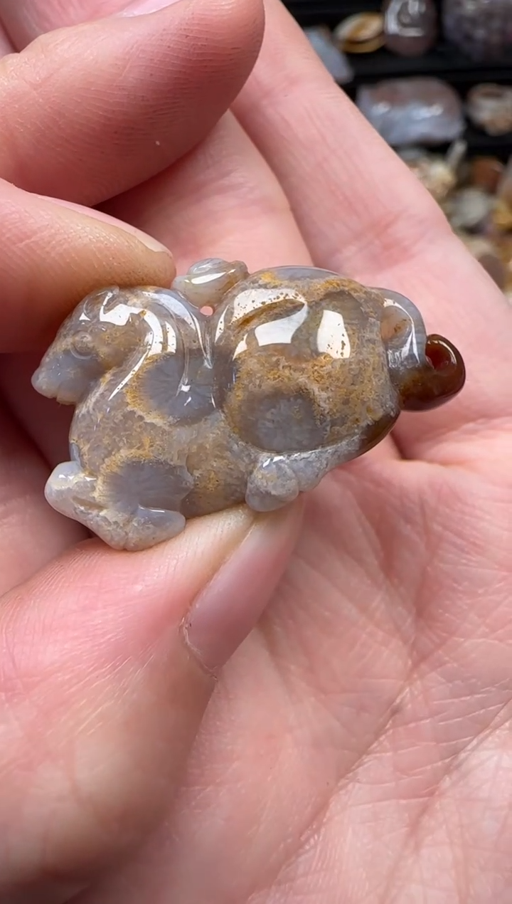 颈饰未镶嵌硅化珊瑚（珊瑚玉）186