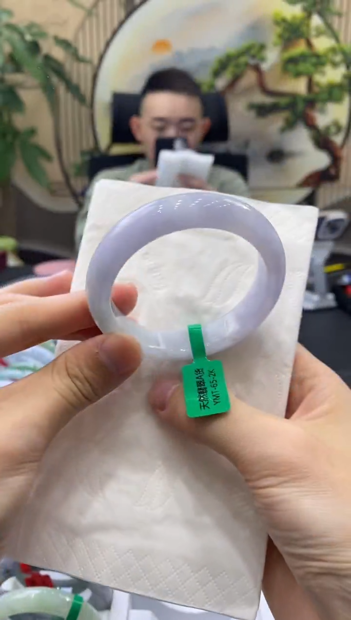 未镶嵌手镯翡翠1842