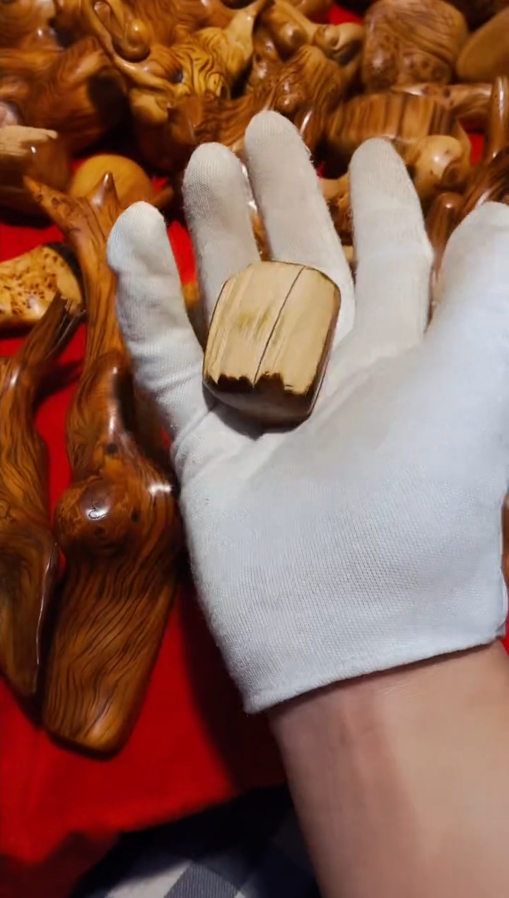 【闪购商品】柏木66崖柏崖柏崖柏