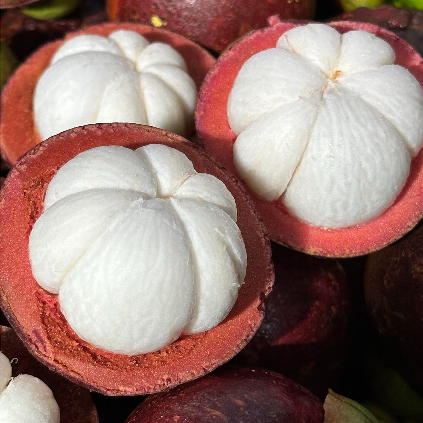 李先生源选 泰国进口老树油竹当季新鲜+6A大果500g-1500g