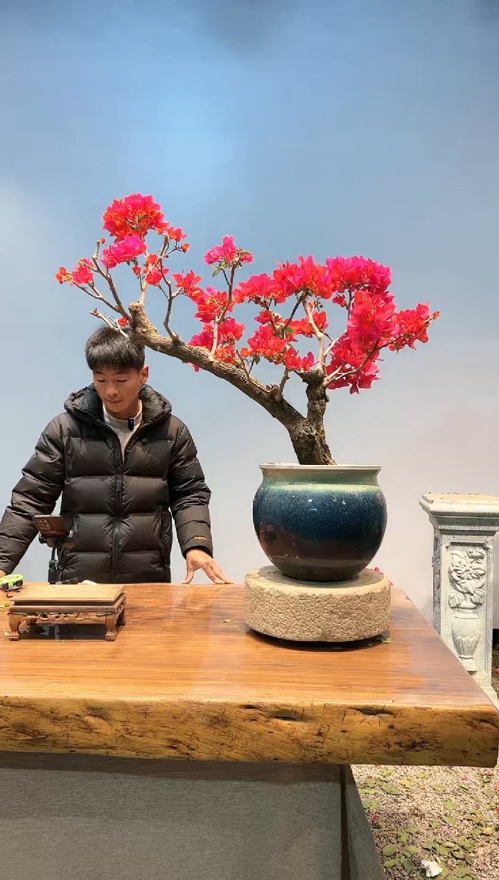 【闪购商品】AA909