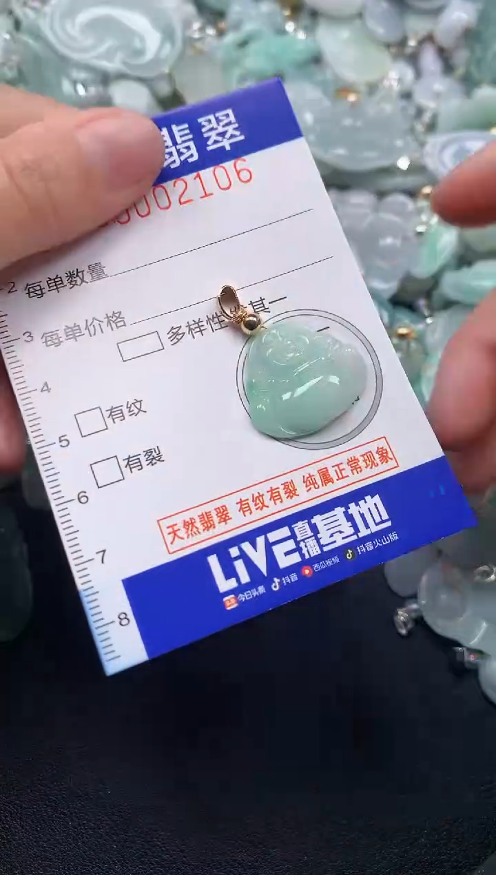 颈饰未镶嵌翡翠2016