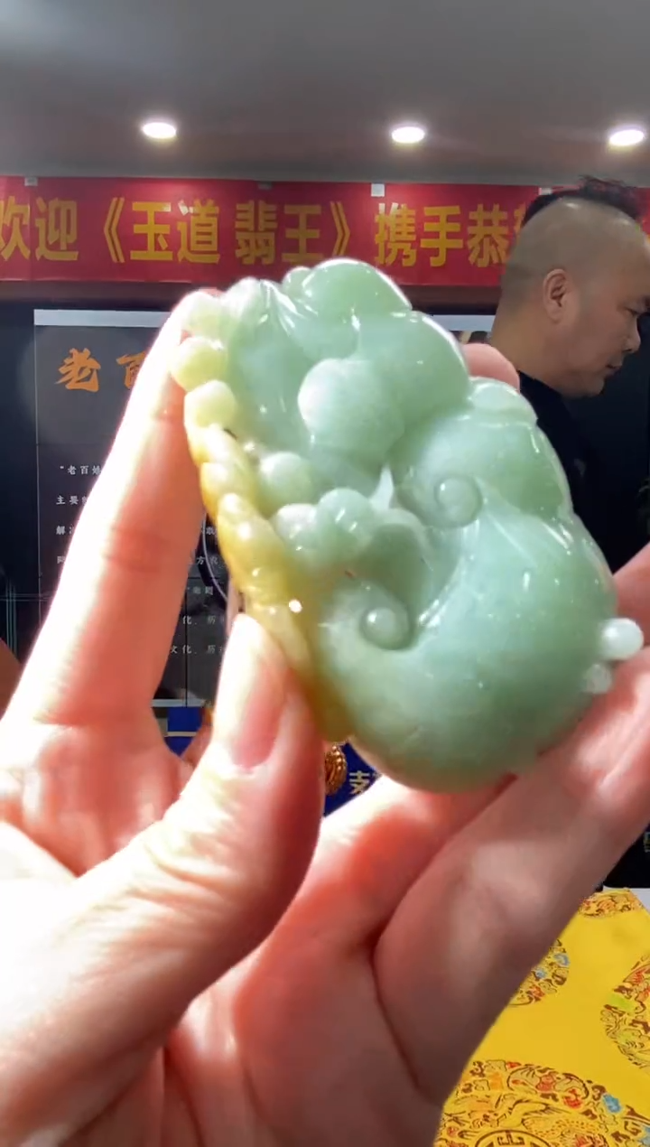 【闪购商品】翡翠颈饰未镶嵌B-@@BSGC01270079