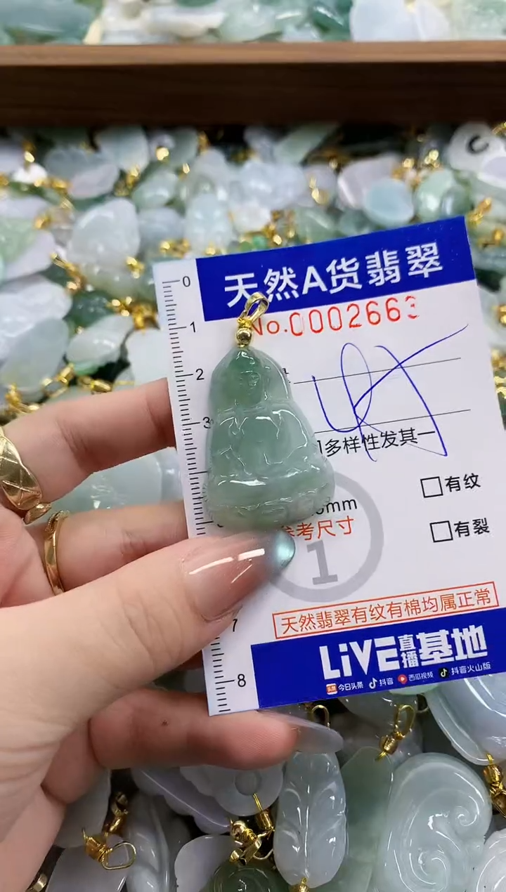 颈饰未镶嵌翡翠天然A货翡翠