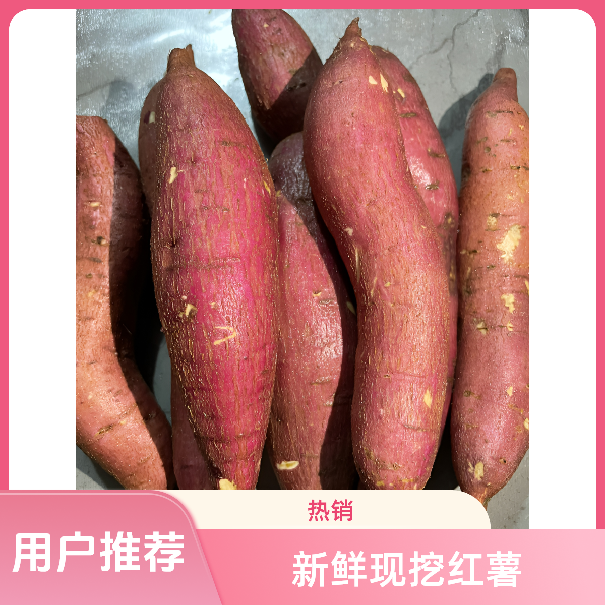 新鲜板栗红薯现挖香甜软糯口感细腻烤红薯