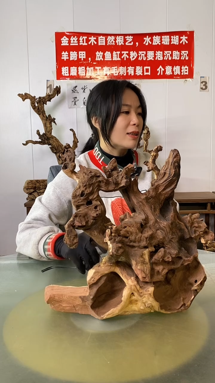 木青*金丝红木  羊蹄甲