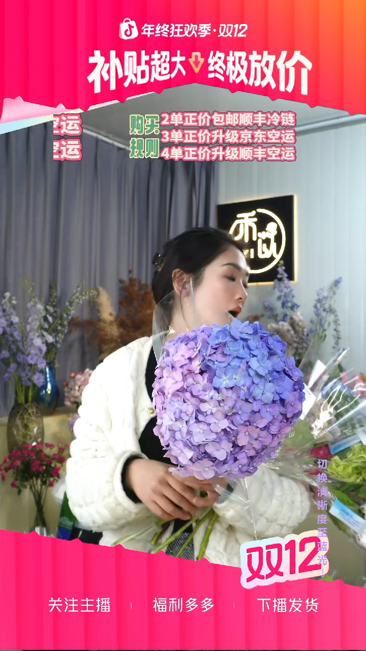 完全开放2号绣球 