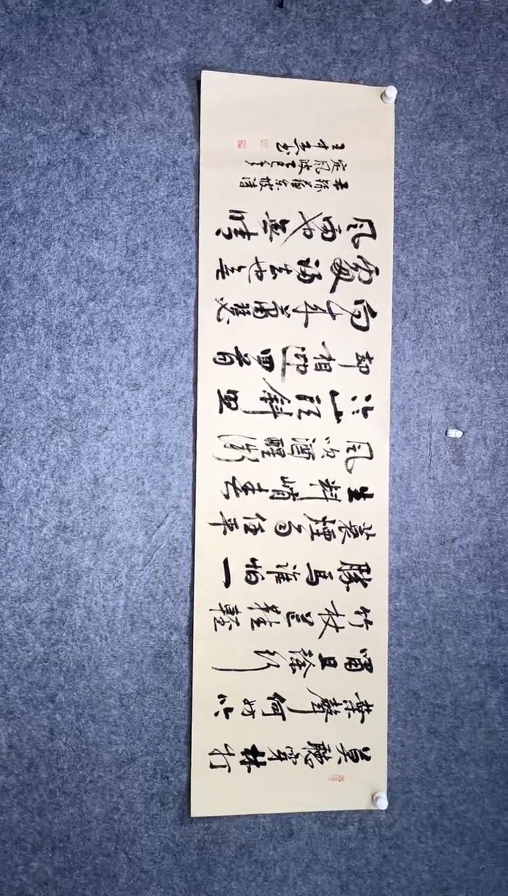 书法王中杰定风波宣纸205*55