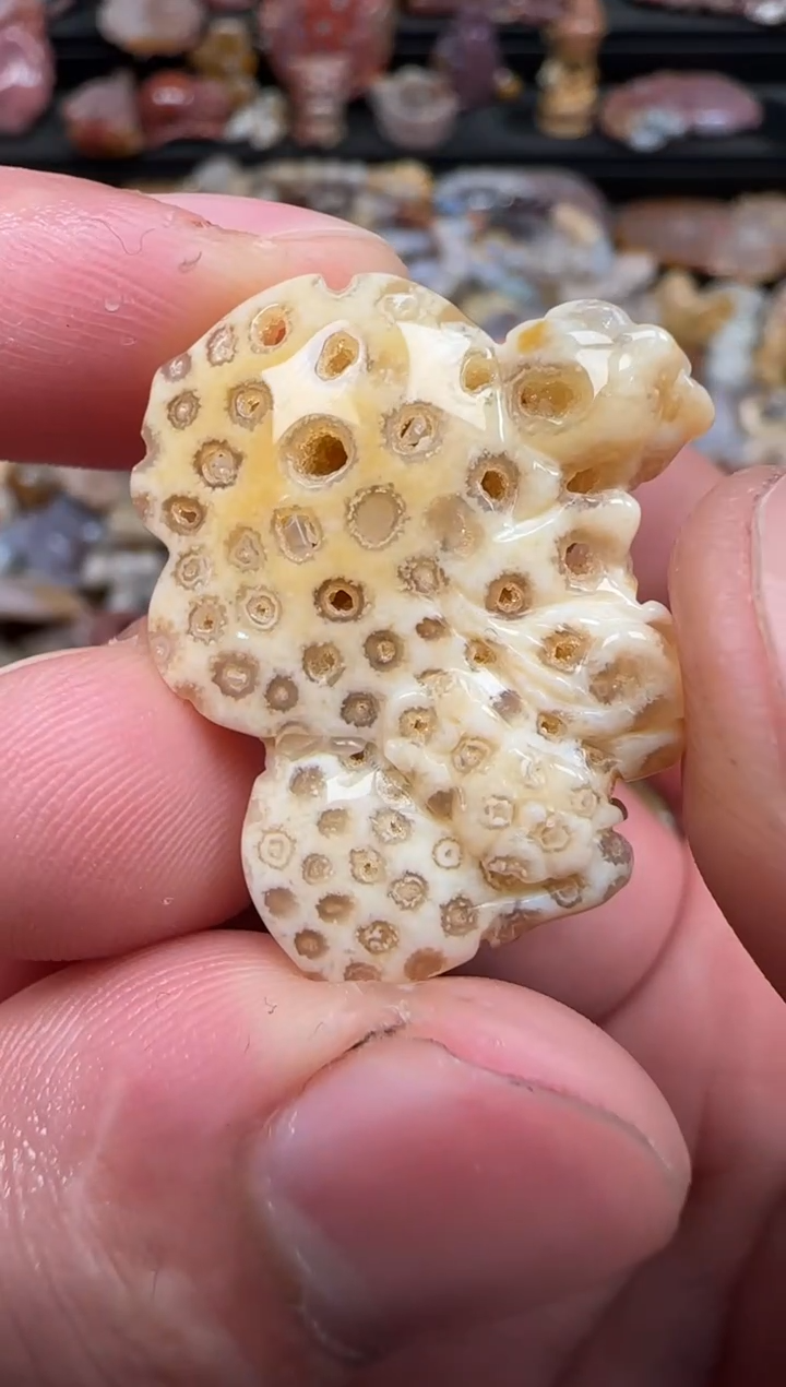 硅化珊瑚（珊瑚玉）未镶嵌颈饰271