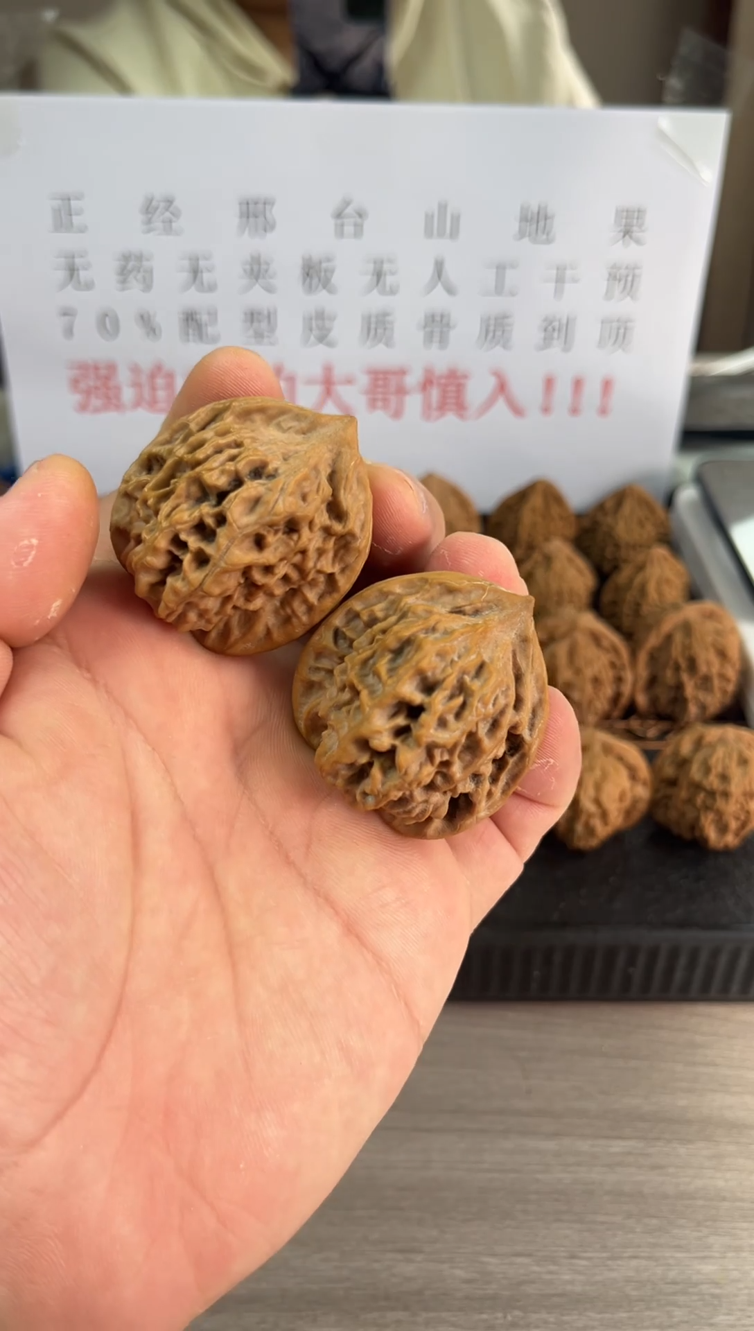 【闪购商品】文玩核桃把件山地官帽40尺