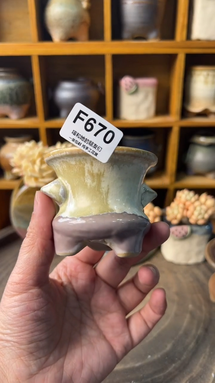 670 内口5.5【多肉花盆多肉盆】