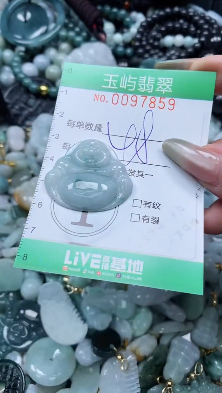 【闪购商品】翡翠未镶嵌颈饰闪购0097859