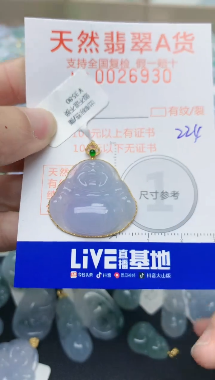 【闪购商品】翡翠颈饰18K金镶嵌天然翡翠A货    224