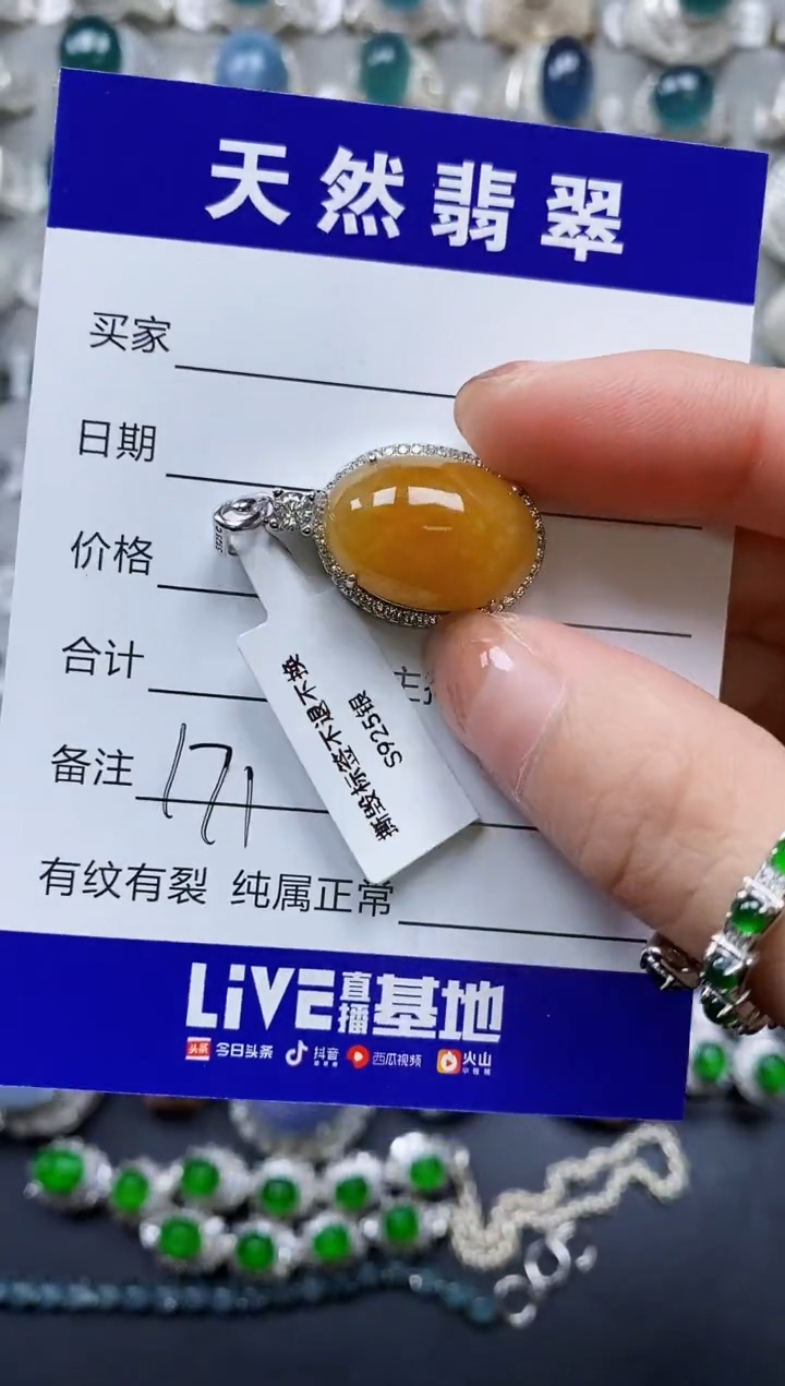 【闪购商品】翡翠颈饰银S925镶嵌0171