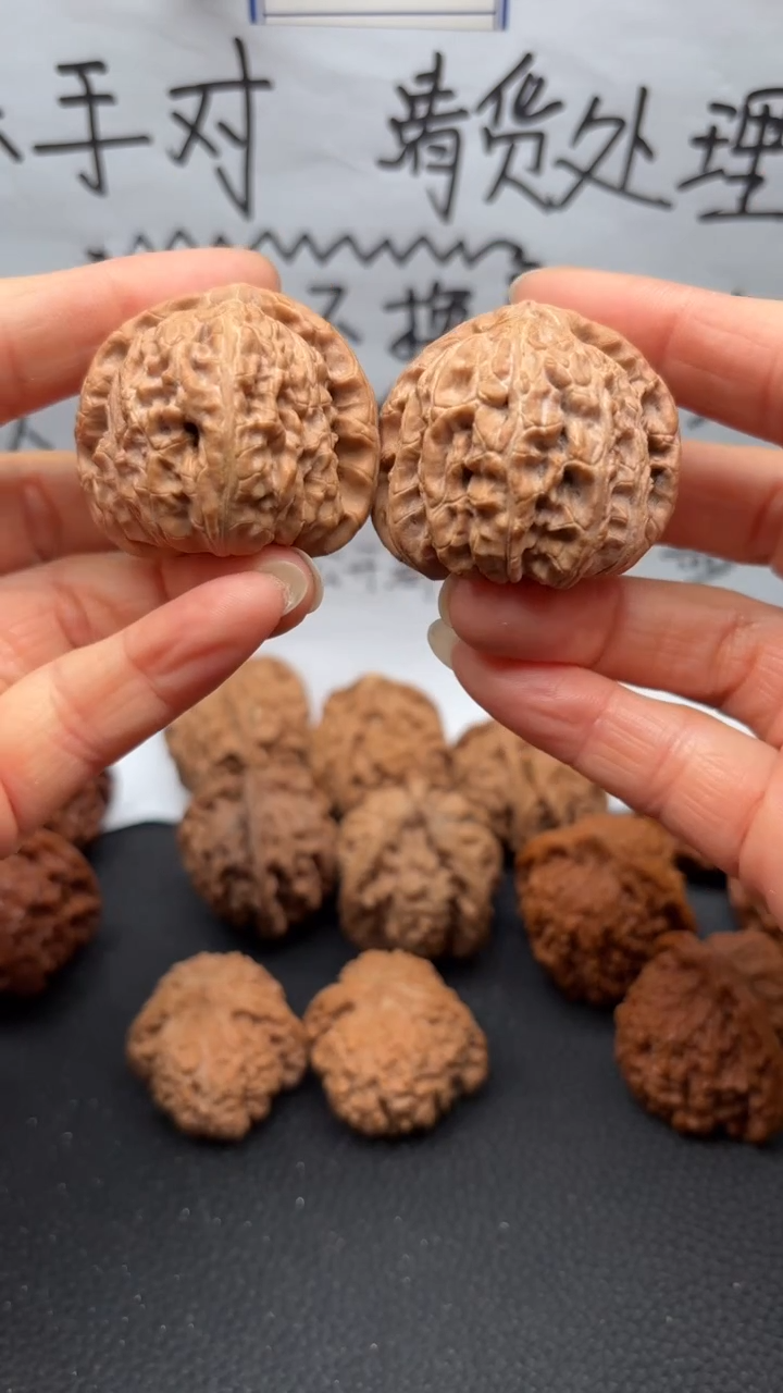 把件文玩核桃14白狮子