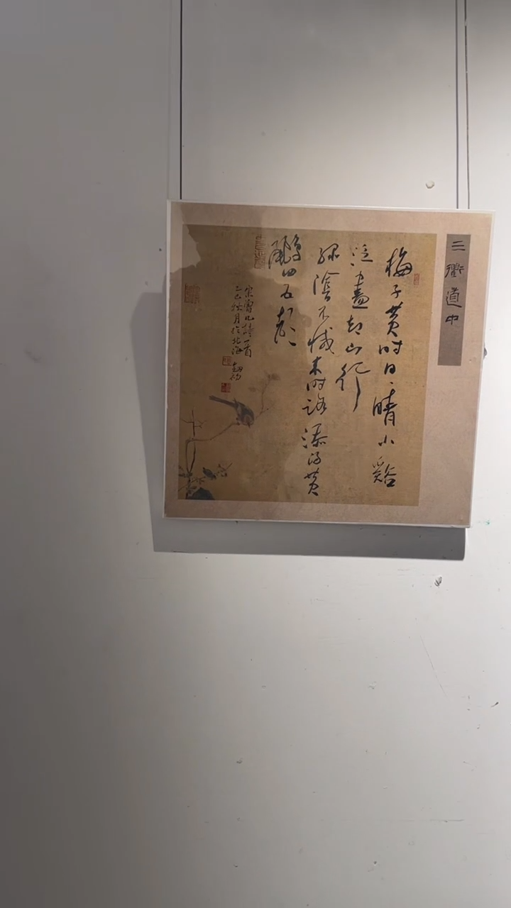 书法周剑初老师作品-18