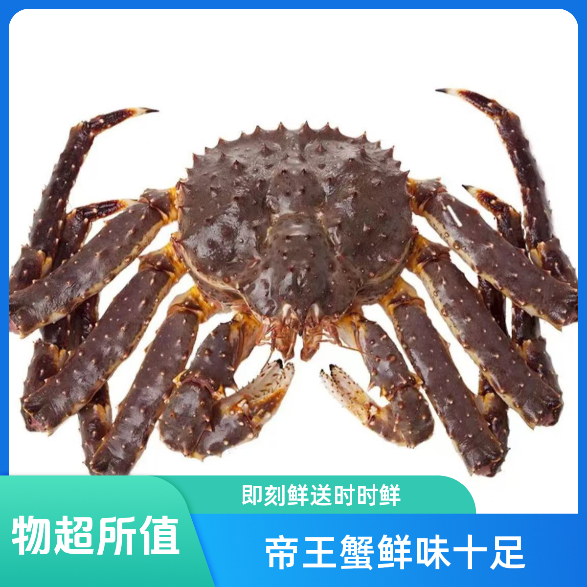 【冯长广小时达】帝王蟹约4.9斤