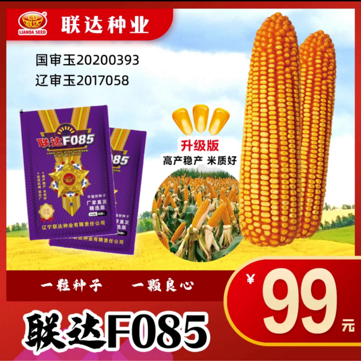 国审联达F085玉米种子高产抗旱耐涝抗病抗虫抗倒不挑地块（5500粒）