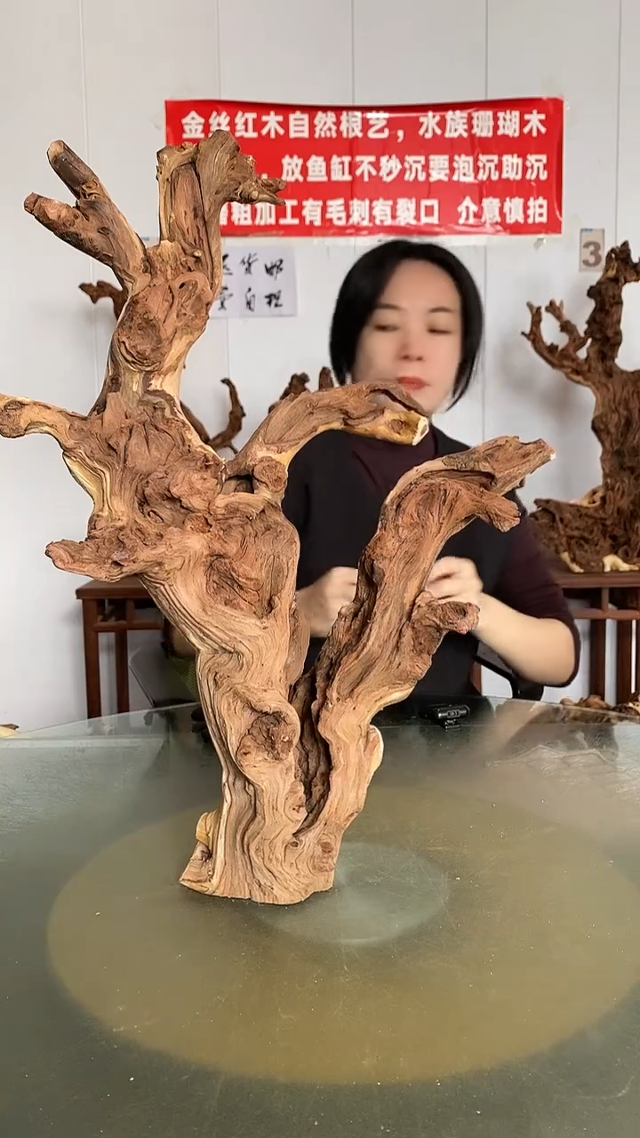 木蓝**己金丝红木  羊蹄甲