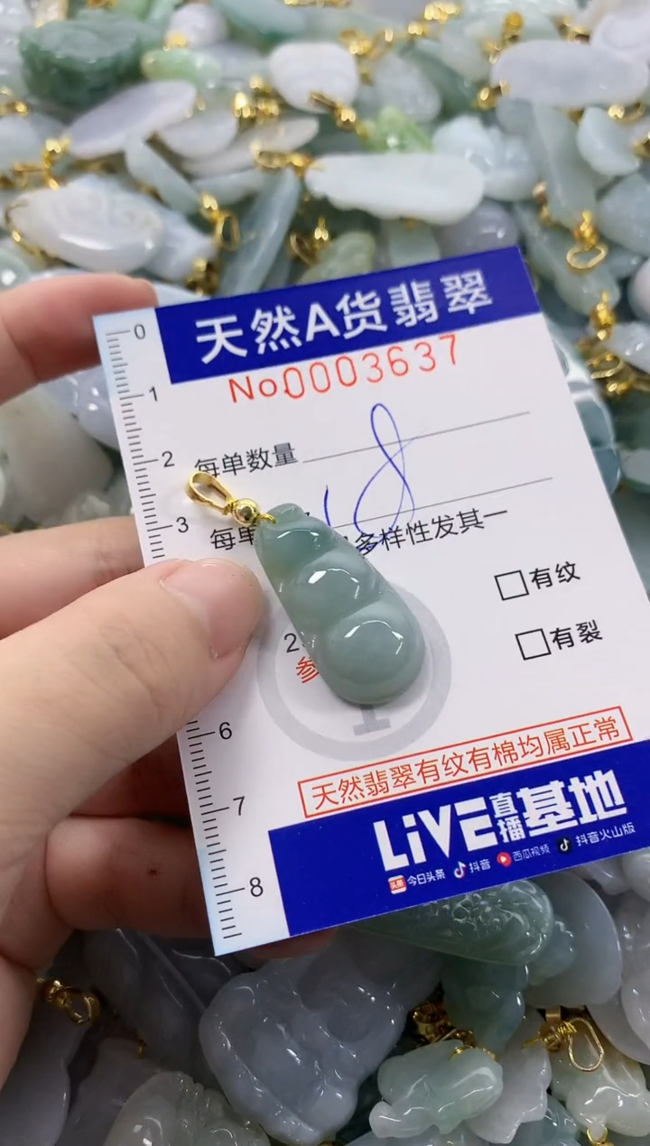 颈饰未镶嵌翡翠天然A货翡翠