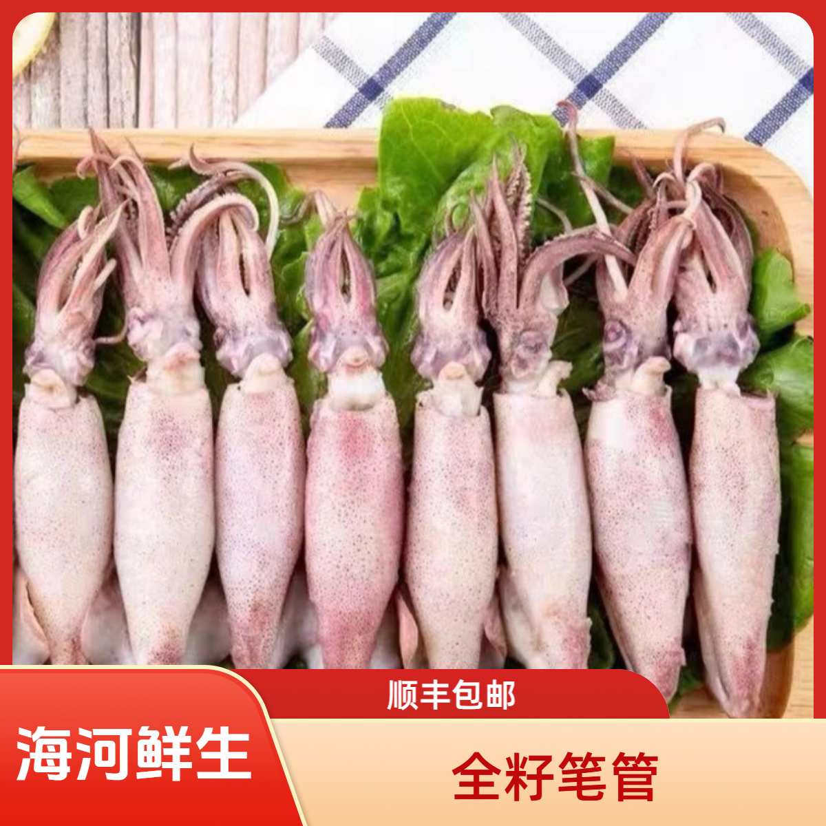 【带籽籽乌】5斤带籽笔管海兔 火锅搭子【顺丰包邮】冰鲜发货