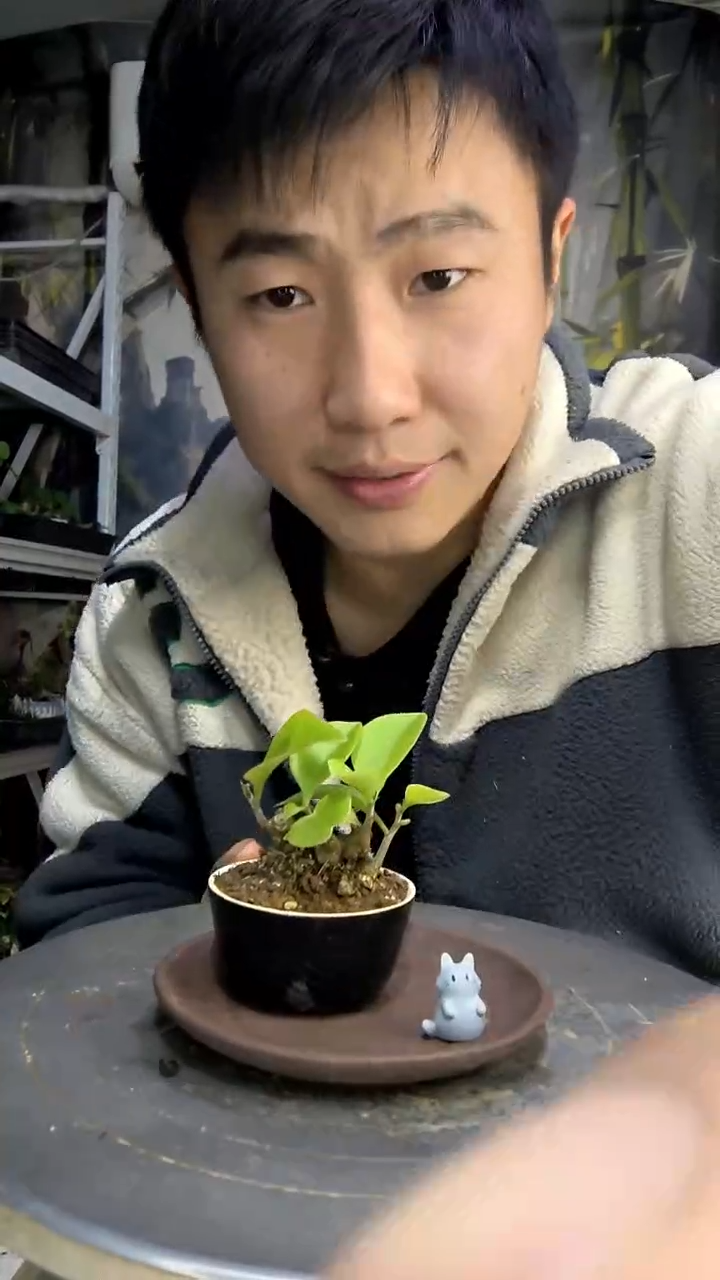 周****9中青园艺一物一拍109