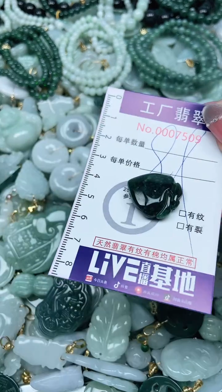 【闪购商品】翡翠吊坠(不含链)未镶嵌翡翠