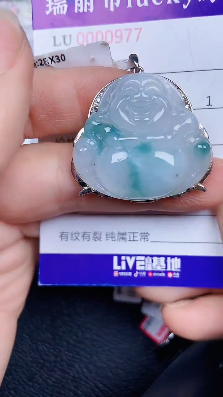 颈饰银S925镶嵌翡翠1977