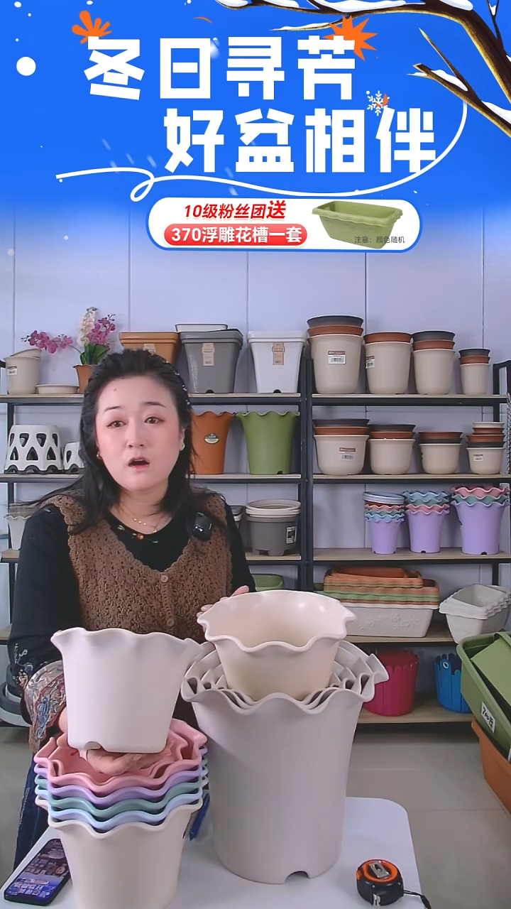 矮荷叶2号盆米白5套带托盘