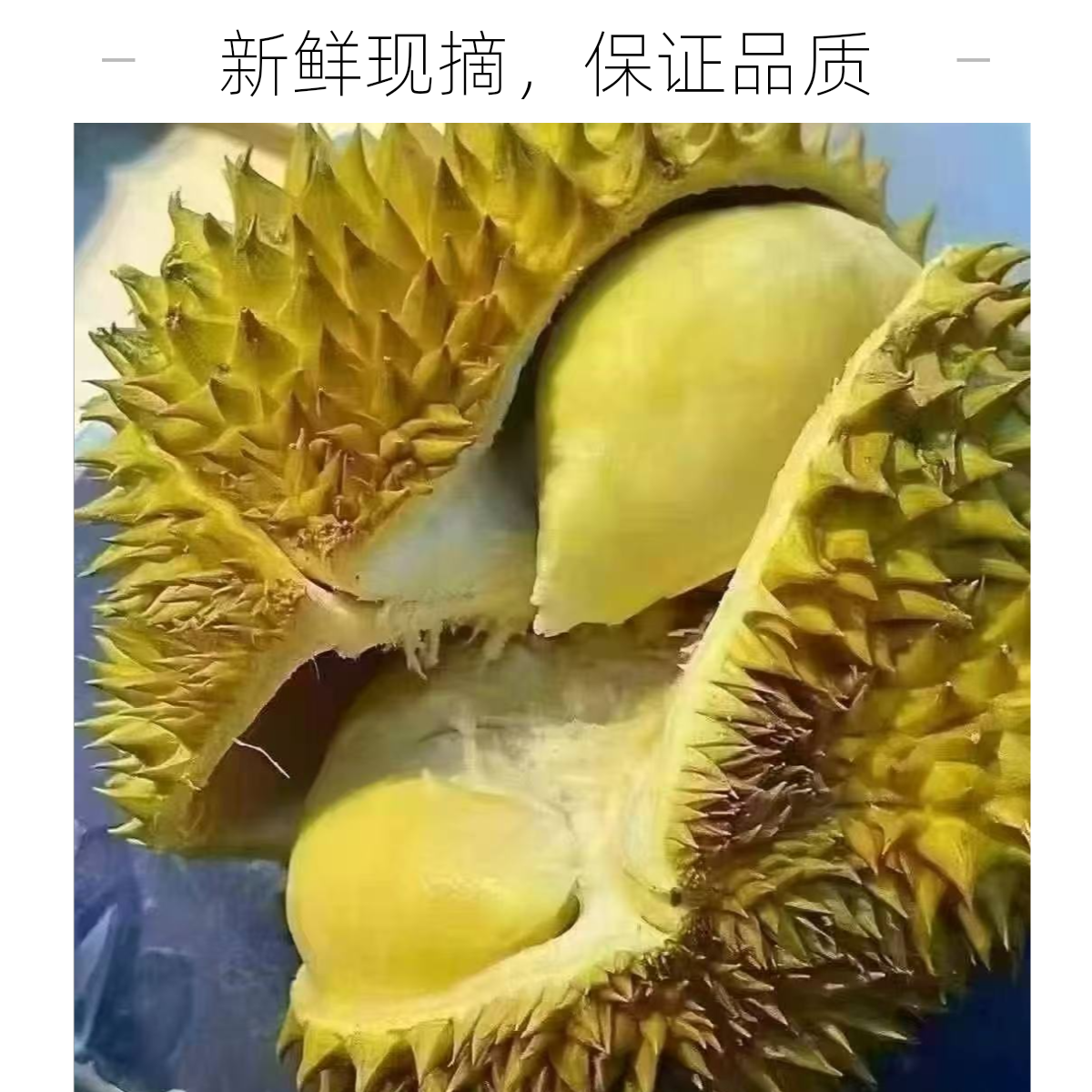 ①【配送到家】树熟金枕榴莲 新鲜 核小 一果一重，现场称重（默认开果）榴莲同城配金枕泰国
