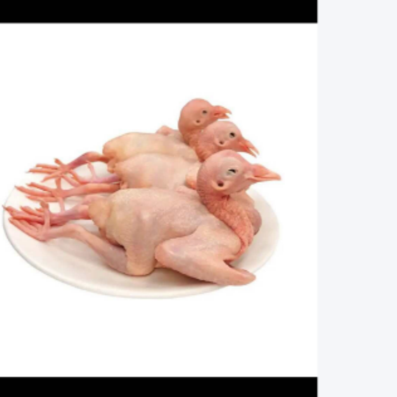 下单专拍下单直播间为准