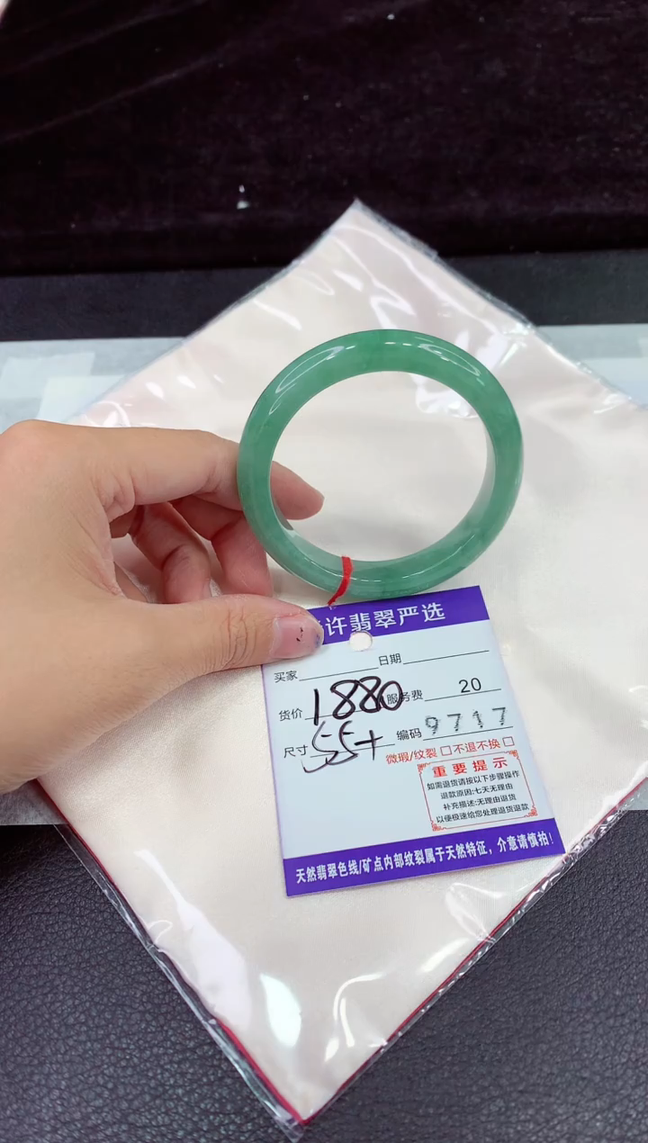 未镶嵌手镯翡翠1