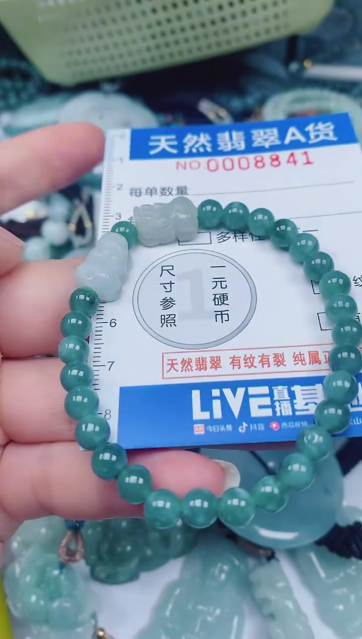 颈饰未镶嵌翡翠00008841