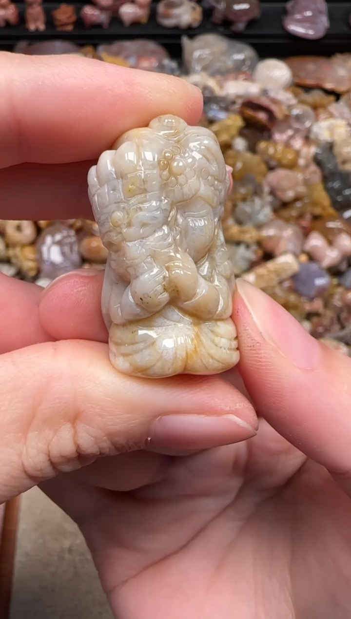 硅化珊瑚（珊瑚玉）未镶嵌颈饰726