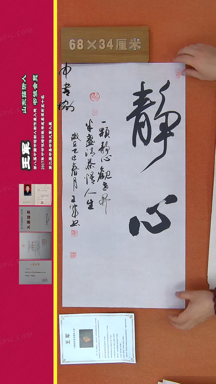 【闪购商品】书法245王军书法作品