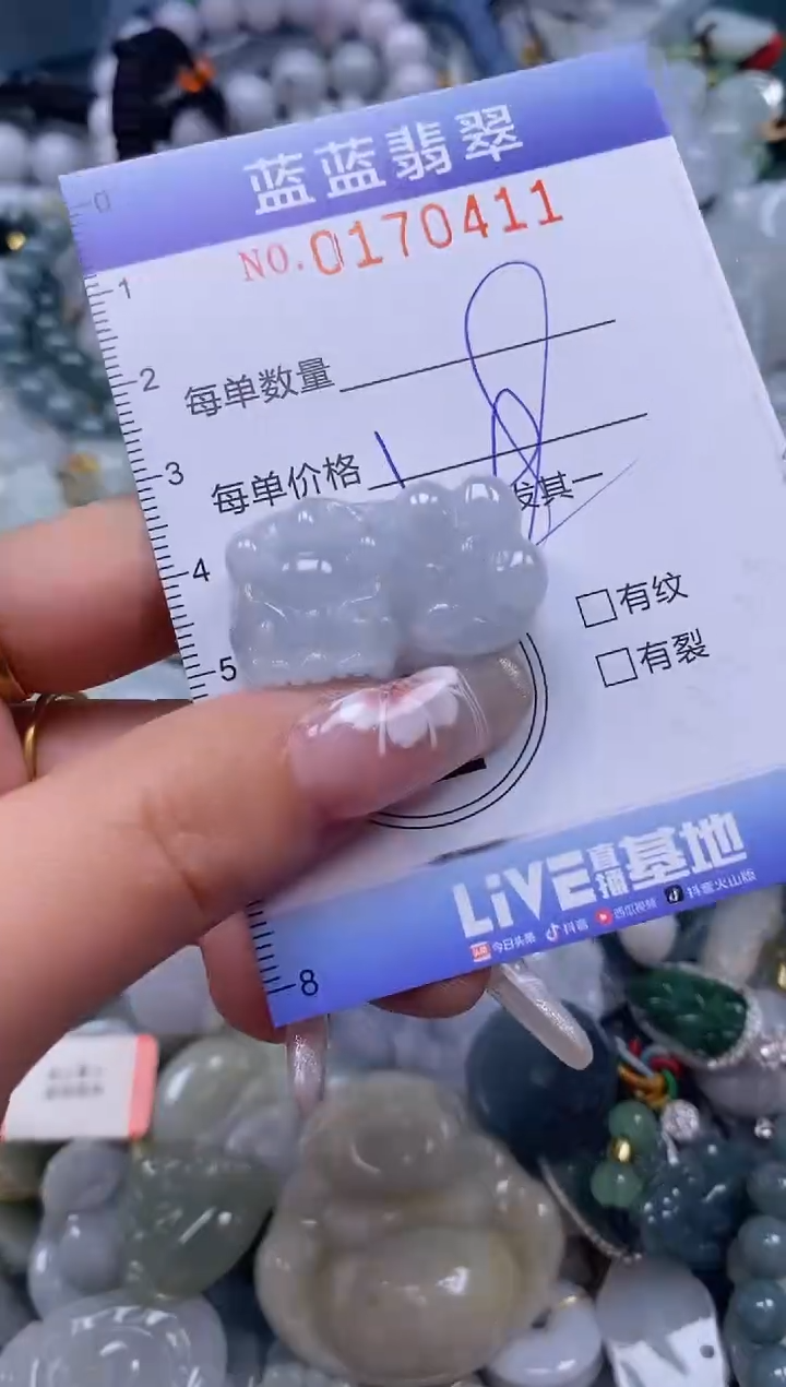 【闪购商品】翡翠颈饰未镶嵌闪购0170411