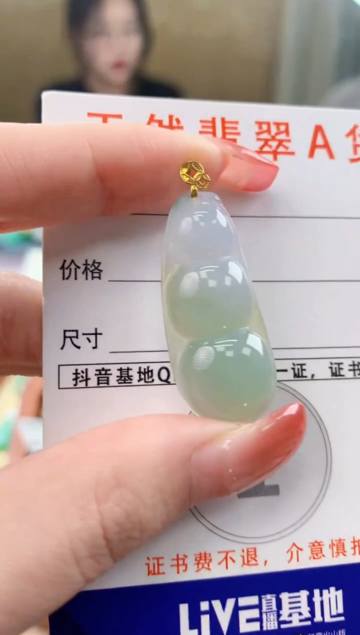 颈饰未镶嵌翡翠天然A货翡翠挂件