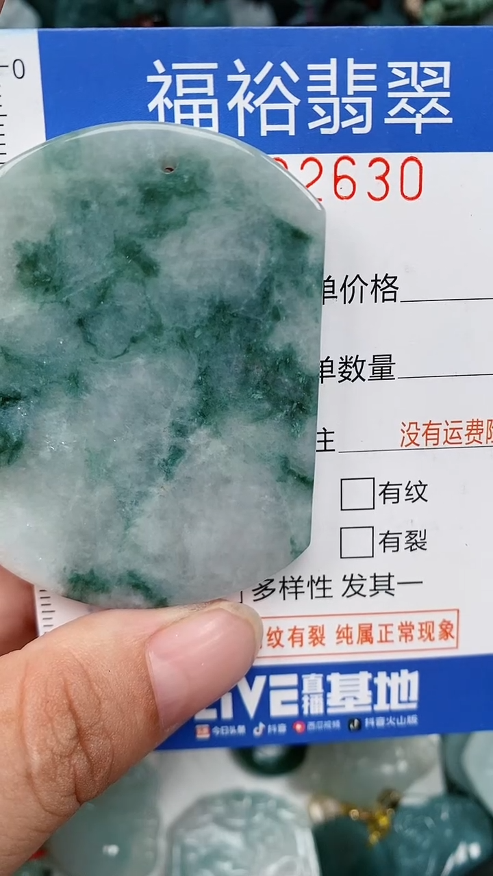 翡翠未镶嵌颈饰...0002630