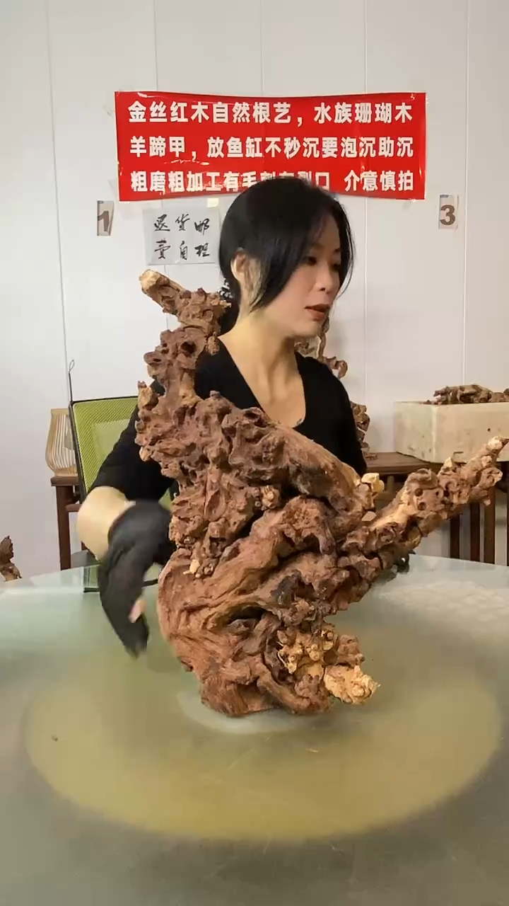 香榧木贫*金丝红木 羊蹄甲