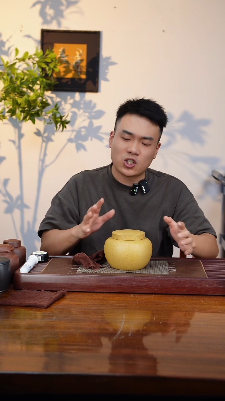 宜兴原矿紫砂茶叶罐