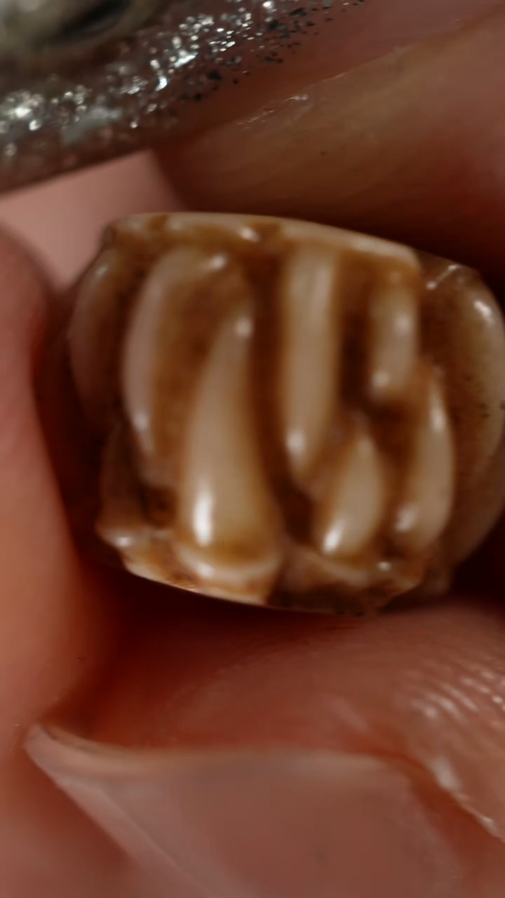 其他驼骨驼骨吞噬文玩配饰一对